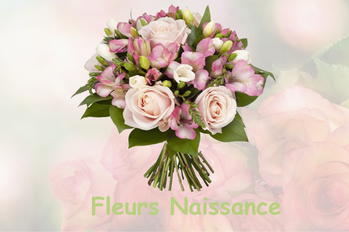 fleurs naissance SAINT-GEORGES-DE-LEVEJAC